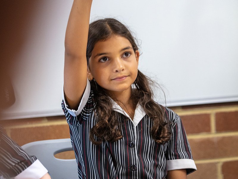 Primary student in the classroom with their hand raised.