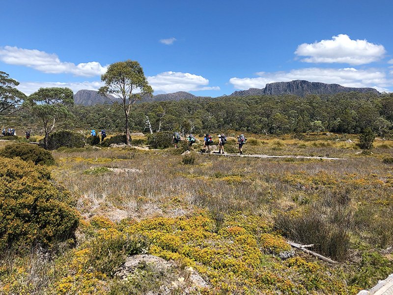 Students walking through the bush with hiking packs on a school camp.