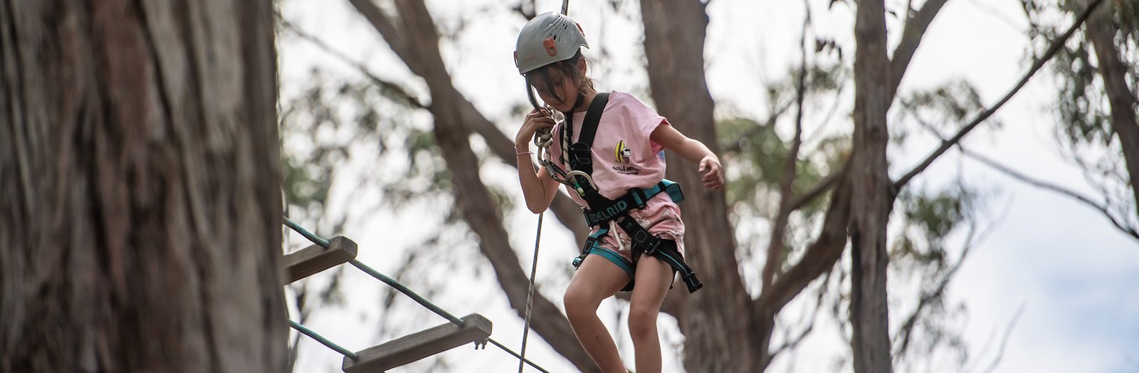 Primary student climbing on a high ropes course.