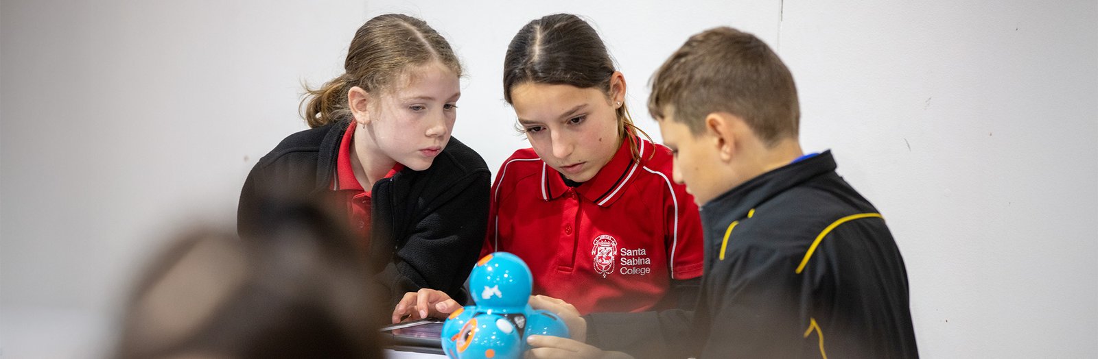 Students working together on a project in class.