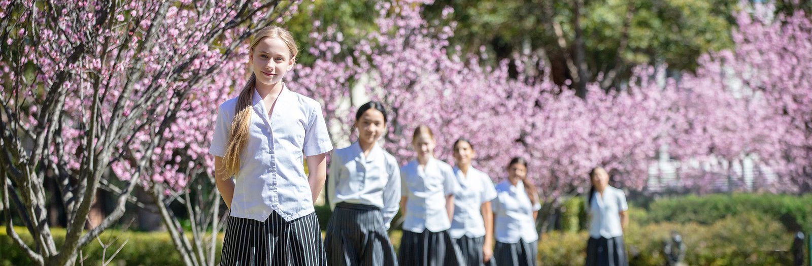 Students standing in a line, smiling next to cherry blossoms.